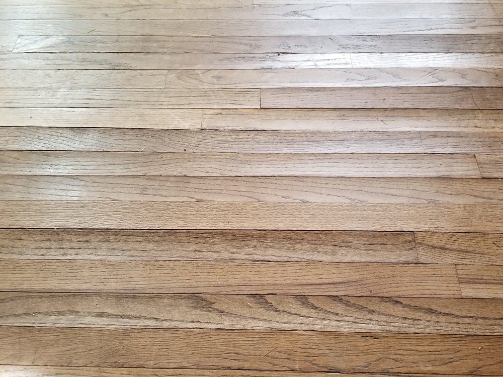 Hoop pine timber floor - Brisbanes Finest Floors